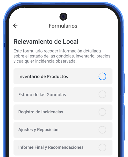 Relevamientos interface